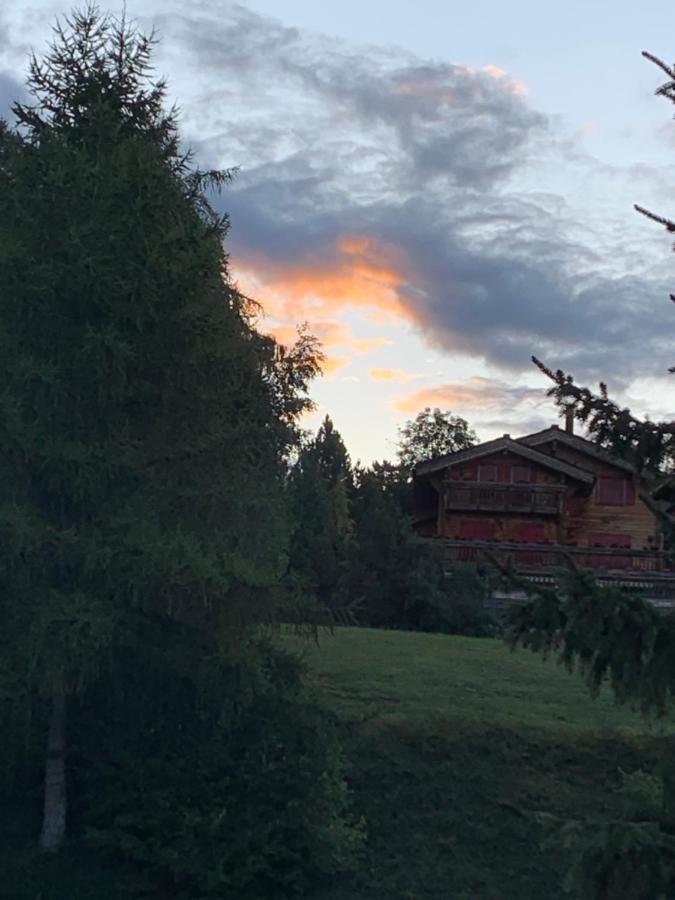La Jacinthe De Crans Lägenhet Exteriör bild
