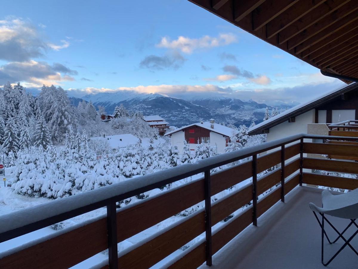 La Jacinthe De Crans Lägenhet Exteriör bild